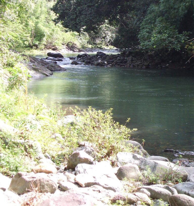 Carabali Rainforest Park Mameyes River Puerto Rico 2