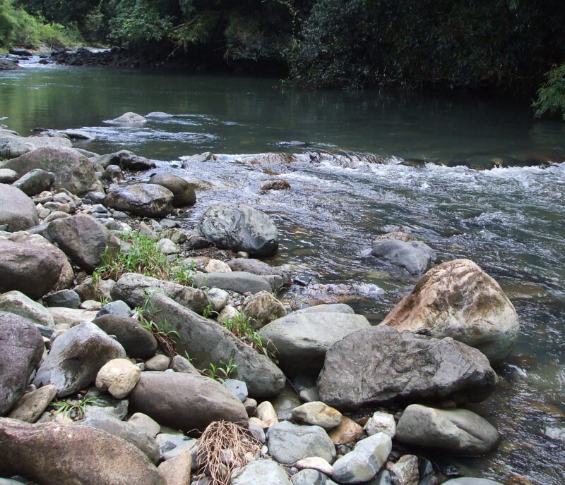 Carabali Rainforest Park Mameyes River Puerto Rico
