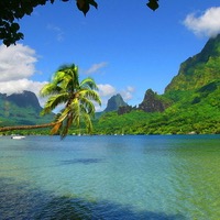 Moorea French Polynesia