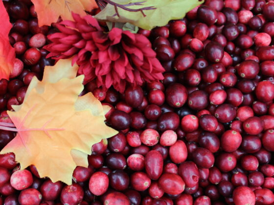 Loose cranberries with leaf on display at Fort Langley cranberry festival