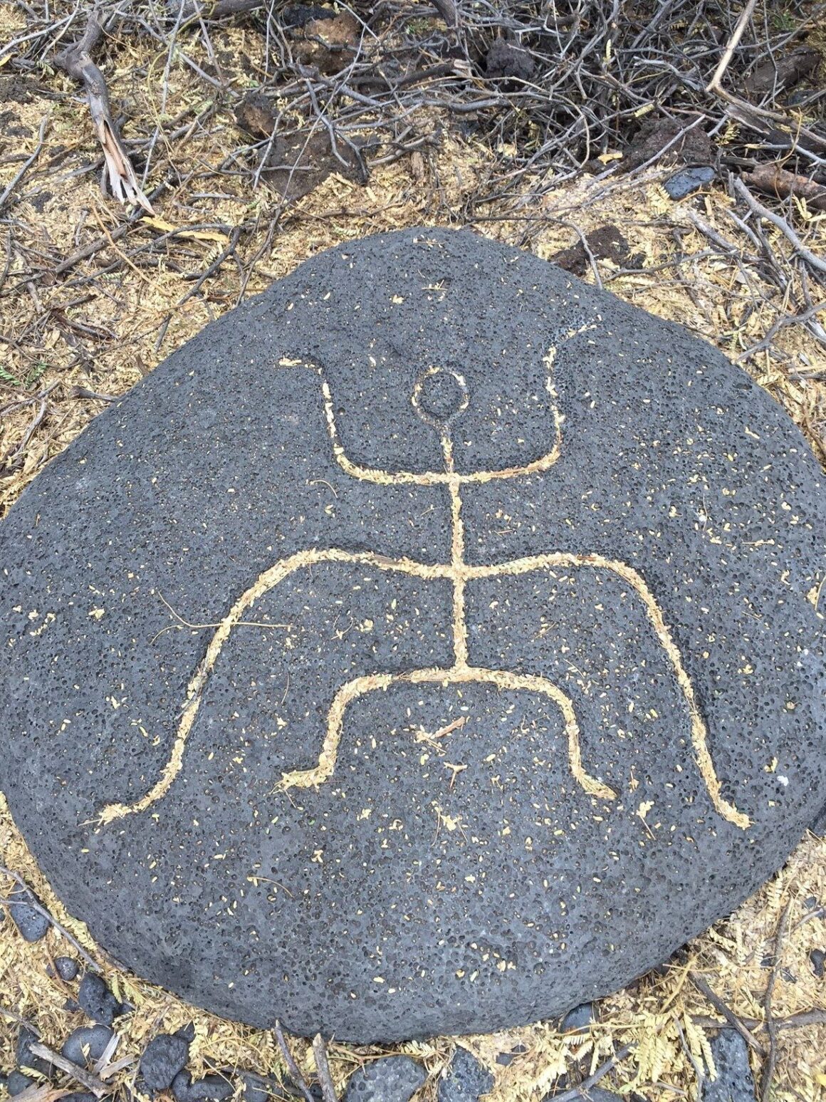 Petroglyph 2 on the Pu’u Loa Petroglyph Trail