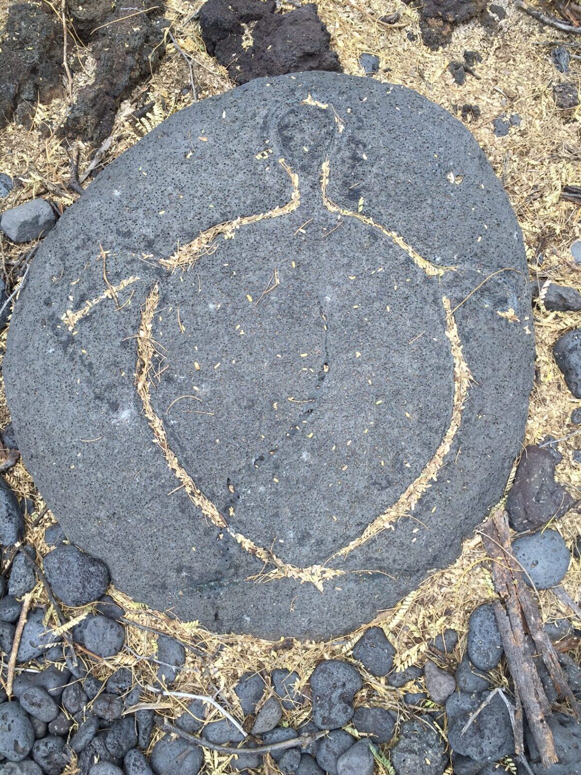 Petroglyph 3 on the Pu’u Loa Petroglyph Trail