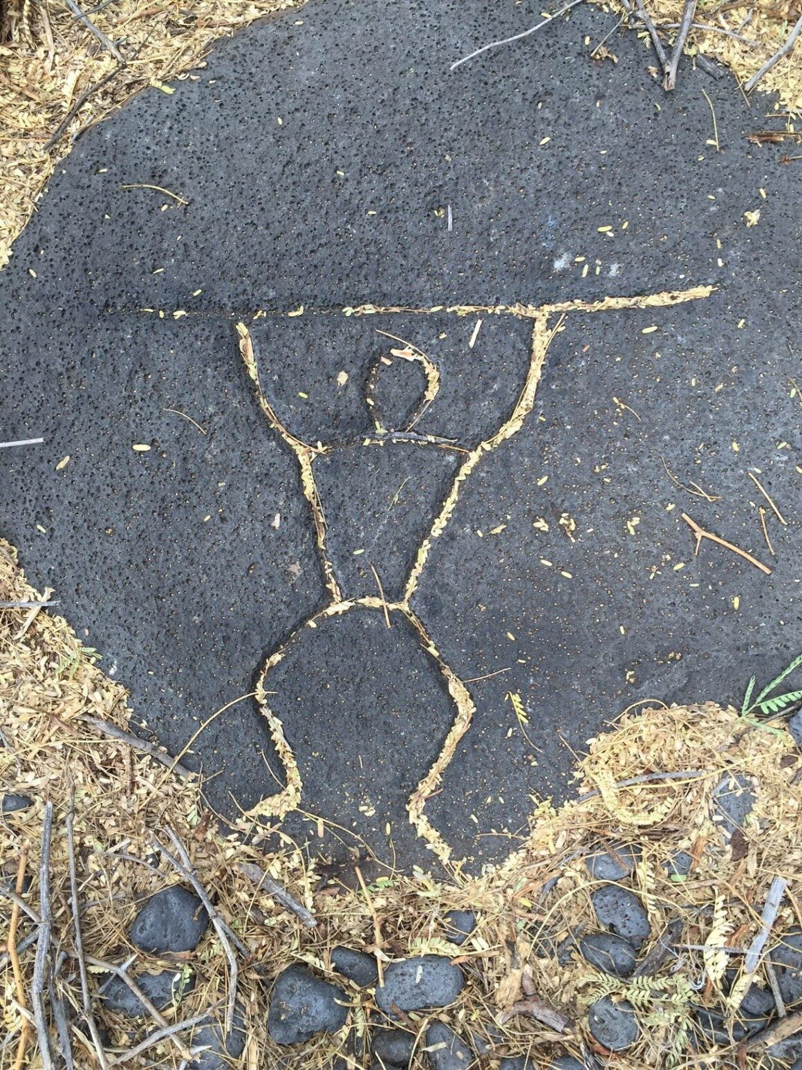 Petroglyph 4 on the Pu’u Loa Petroglyph Trail