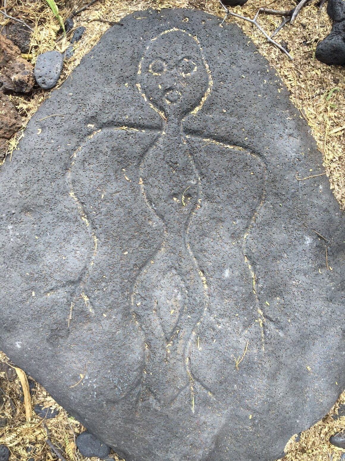Petroglyph 5 on the Pu’u Loa Petroglyph Trail