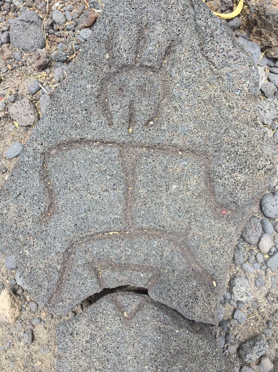 Petroglyph 6 on the Pu’u Loa Petroglyph Trail
