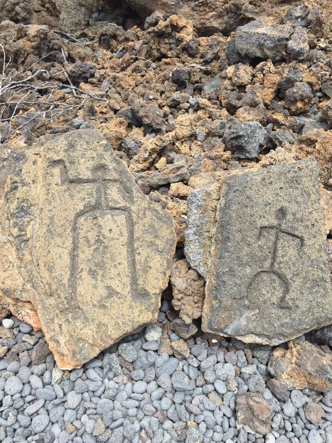 Petroglyph 7 on the Pu’u Loa Petroglyph Trail