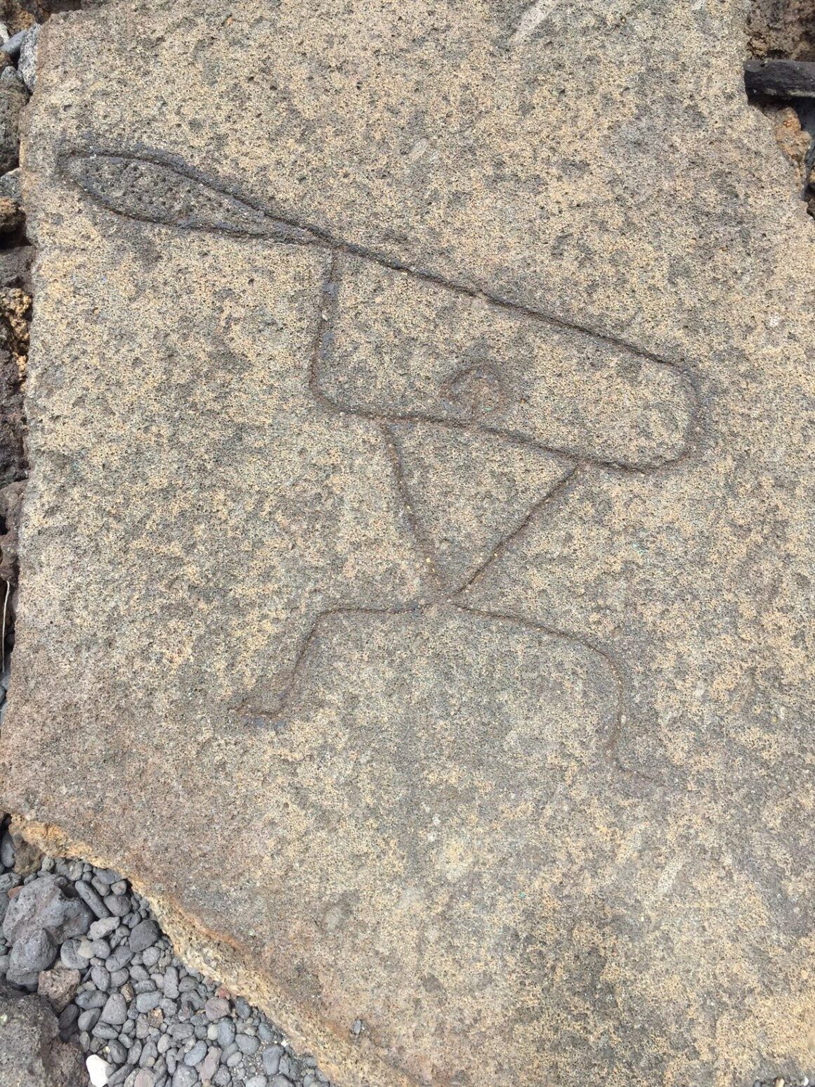 Petroglyph 8 on the Pu’u Loa Petroglyph Trail