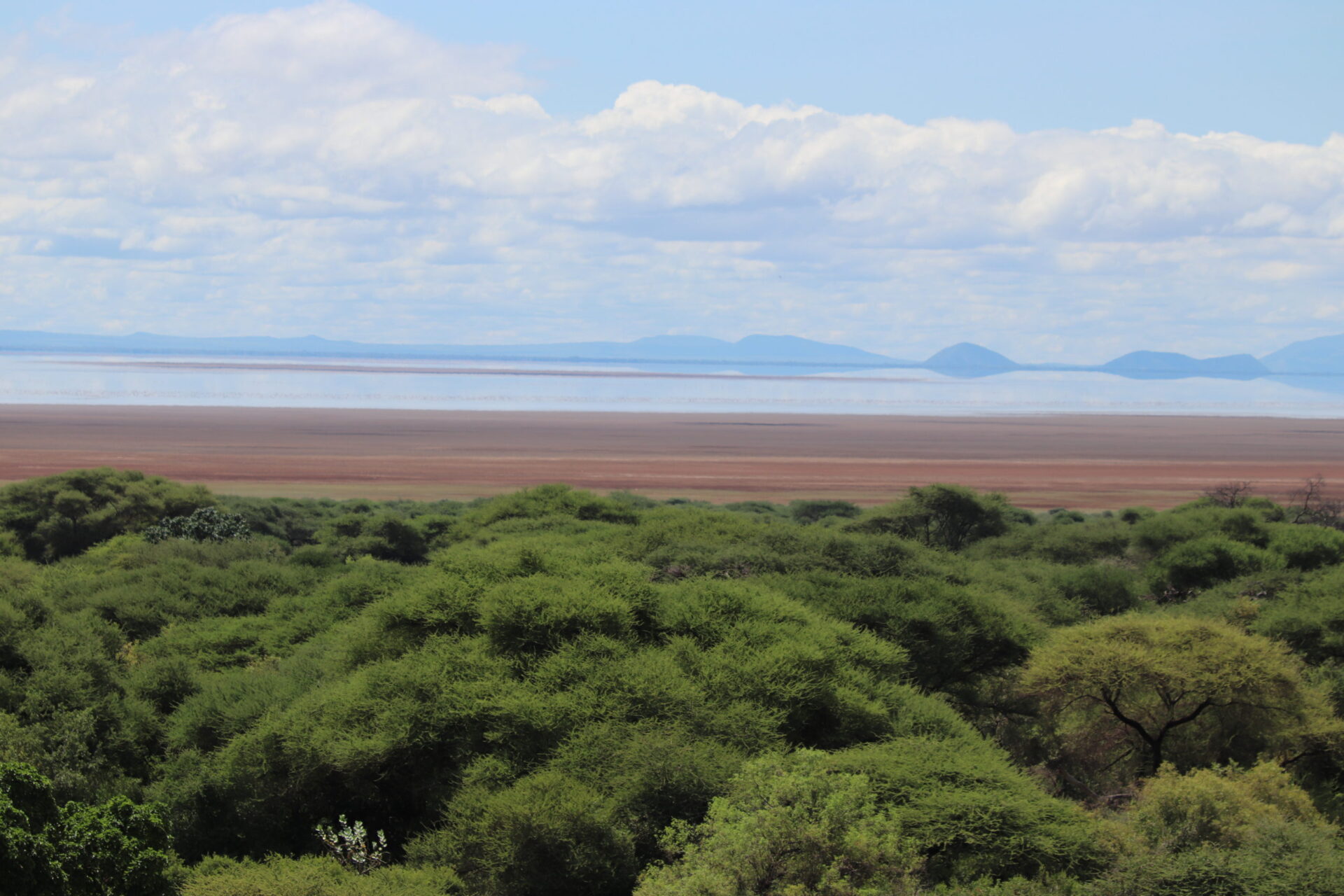 Lake Manyara Tanzania Africa