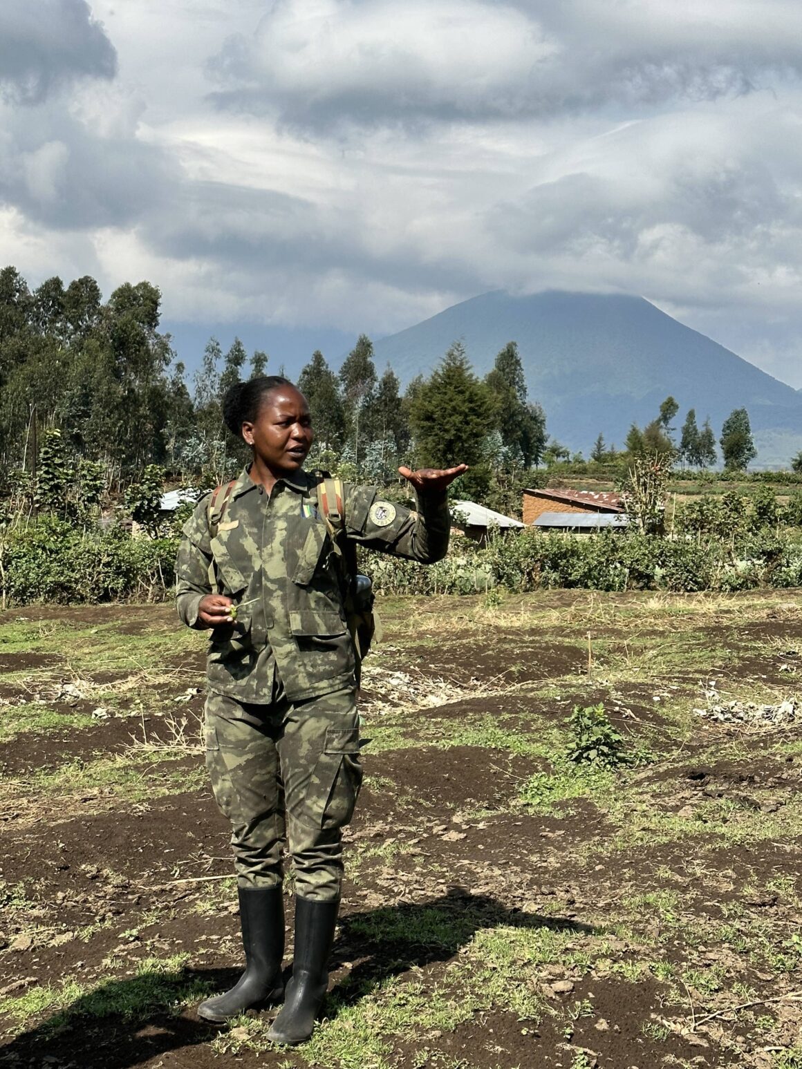 The park ranger informing of golden monkeys while on trek in Rwanda