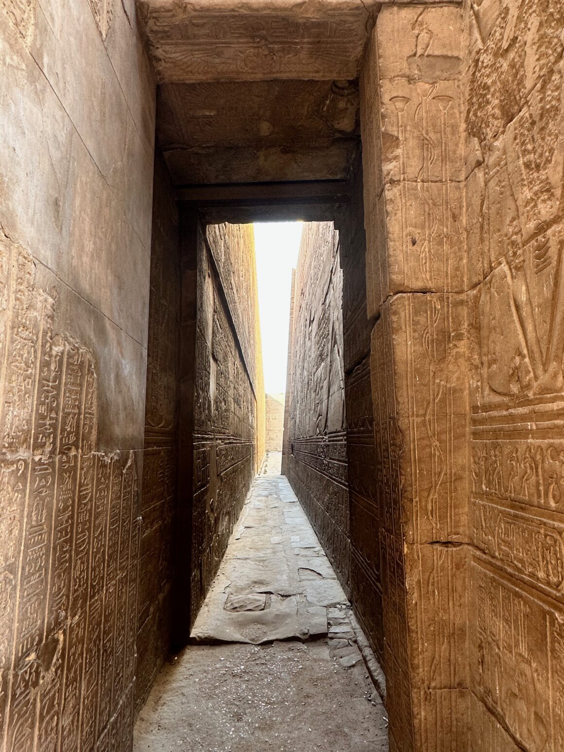 hieroglyphics at temple of horus at edfu 4