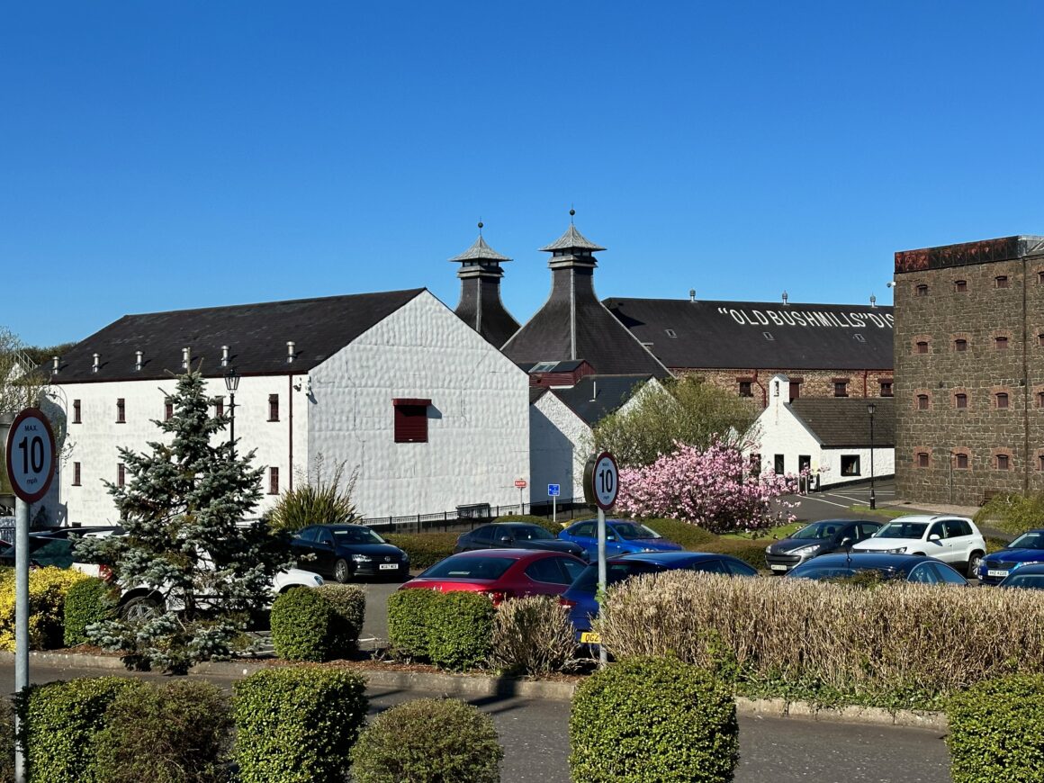 bushmills distillery
