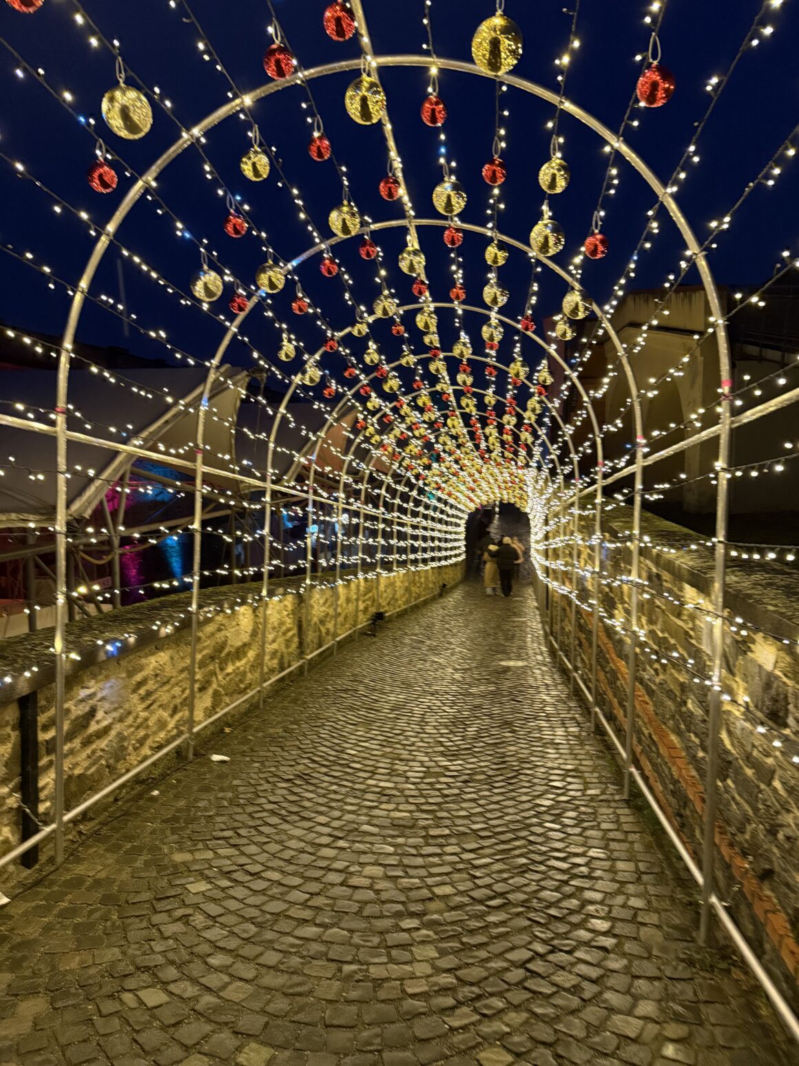 ehrenbreitstein fortress in koblenz